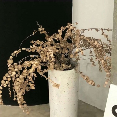 拉萨FurryQQ群介绍